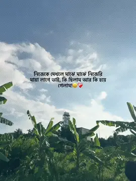 নিজেকে দেখলে মাঝে মাঝে নিজেরি মায়া লাগে ভাই,কি ছিলাম আর কি হয়ে গেলা 😅❤️‍🩹#fyp #unfrezzmyaccoun #vairalvideo #foryoupage  @TikTok @For You #pppppppppppppppppppppppppppppppp 
