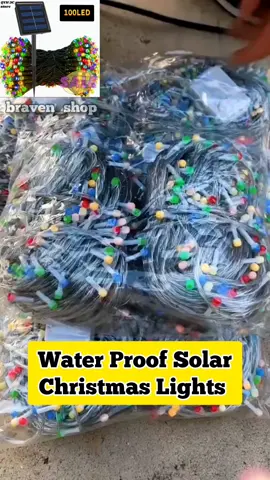 Solar Christmas Lights  #solarchristmaslights #christmaslightscheck #christmaslight #christmasdecor #budgetfriendly 