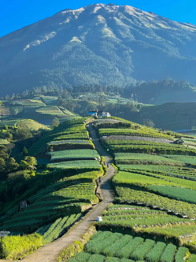 Clear bgt cuacanya 😍 #magelang #sukomakmur #kajoranmagelang #negerisayursukomakmur #fyp 