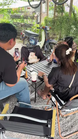 เด็กเอ็นร้านนี้ขอแค่มีขนม นั่งคุยด้วยได้ทั้งวันครับ  #แวะเดี๊ยวดูเหนียวมืดหม่น 
