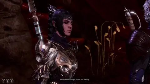 #bg3 #baldursgate3