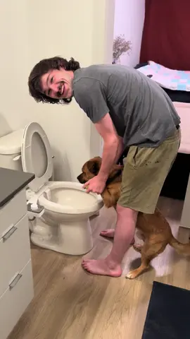 A daily occurrence #dogsoftiktok 