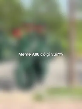vui quá cả nhà oiiii #a80 #dieubinh #luhuynhtrang #lewsnteam 
