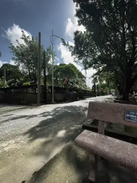“在跌倒多次之后，我学会了如何更加坚强地站起来。” “Đã trải qua nhiều lần gục ngã, mới học được cách đứng dậy mạnh mẽ hơn.”
