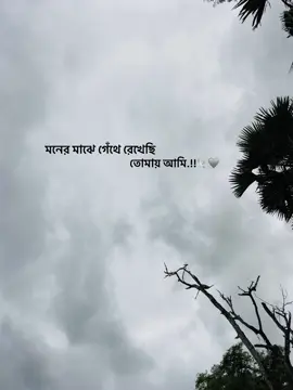 তোমায় আমি.!!🕊️🩶#viralvideo #maita_pakhi #foryoupage #viraltiktok #CapCut 