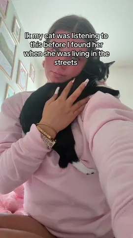 #cat #ghetto #fyp #streetcat #catsoftiktok 