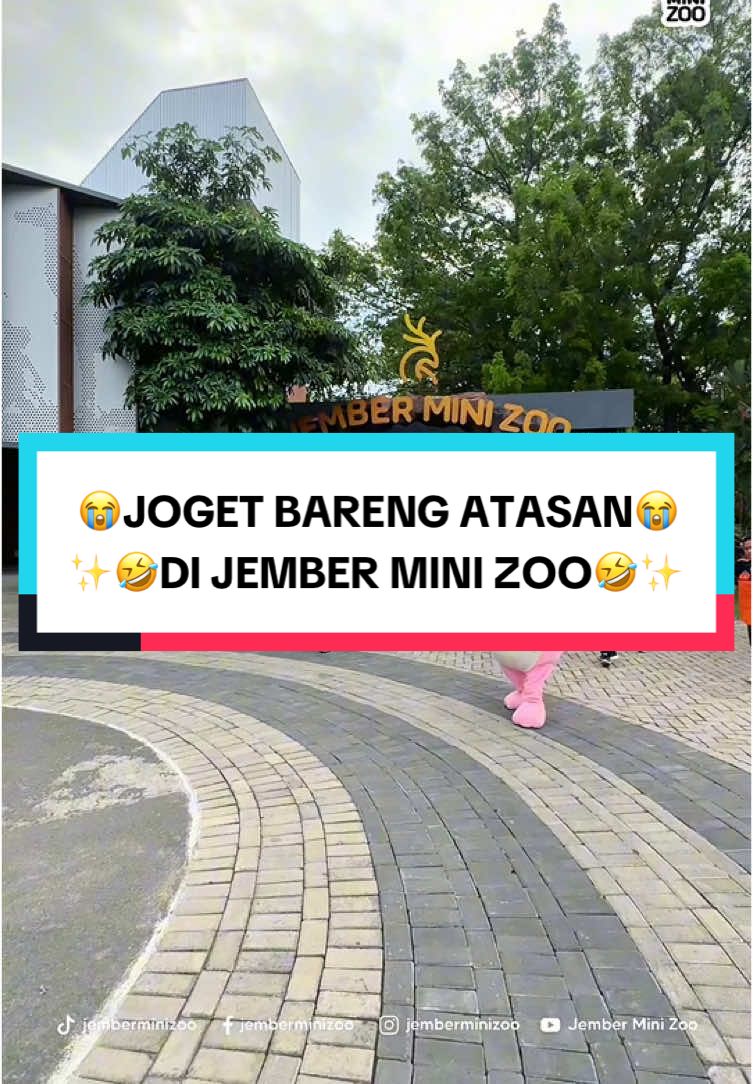 Ketika di ajak joget bareng atasan di kantor yaa di gass dong🤩🔥‼️ #fypシ #foryoupage #fypシ゚viral #jemberminizoo🐇🐰 #wisatajember #sound #soundviral #soundhoregjawatimur #kebunbinatang #jemberjatim 