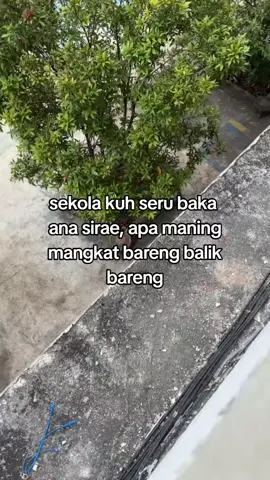 seruu pisan ykin #indramayu #lewatberanda #pandeansadboy 