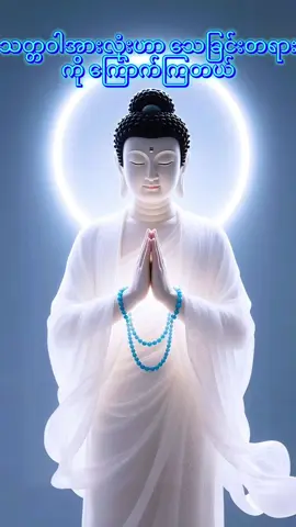 #drmoh #သစ္စာရွှေစည်ဆရာတော်အရှင်ဥတ္တမ၏တရားတော် #တရားတော်များ #တရားတော်များနာယူနိုင်ပါစေ🙏 #ဓမ္မဒါန #မူရင်းကိုcrdပေးပါတယ် #fyp #fyppppppppppppppppppppppp 