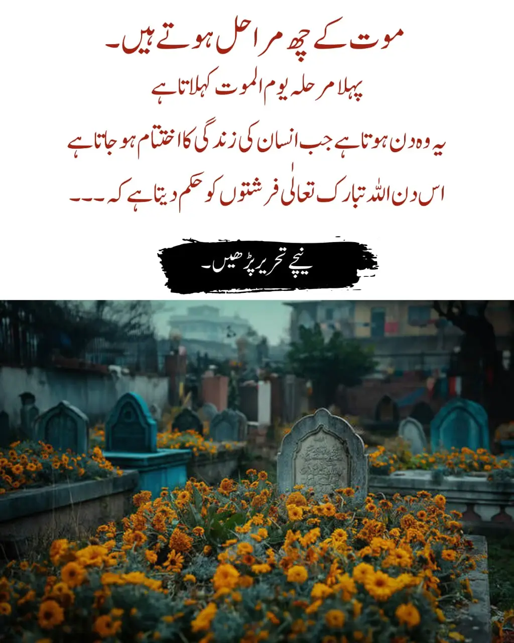کیا آپ جانتے ہیں موت کے کتنے مراحل ہوتے ہیں؟ موت کے چھ مراحل ہوتے ہیں۔ پہلا مرحلہ 