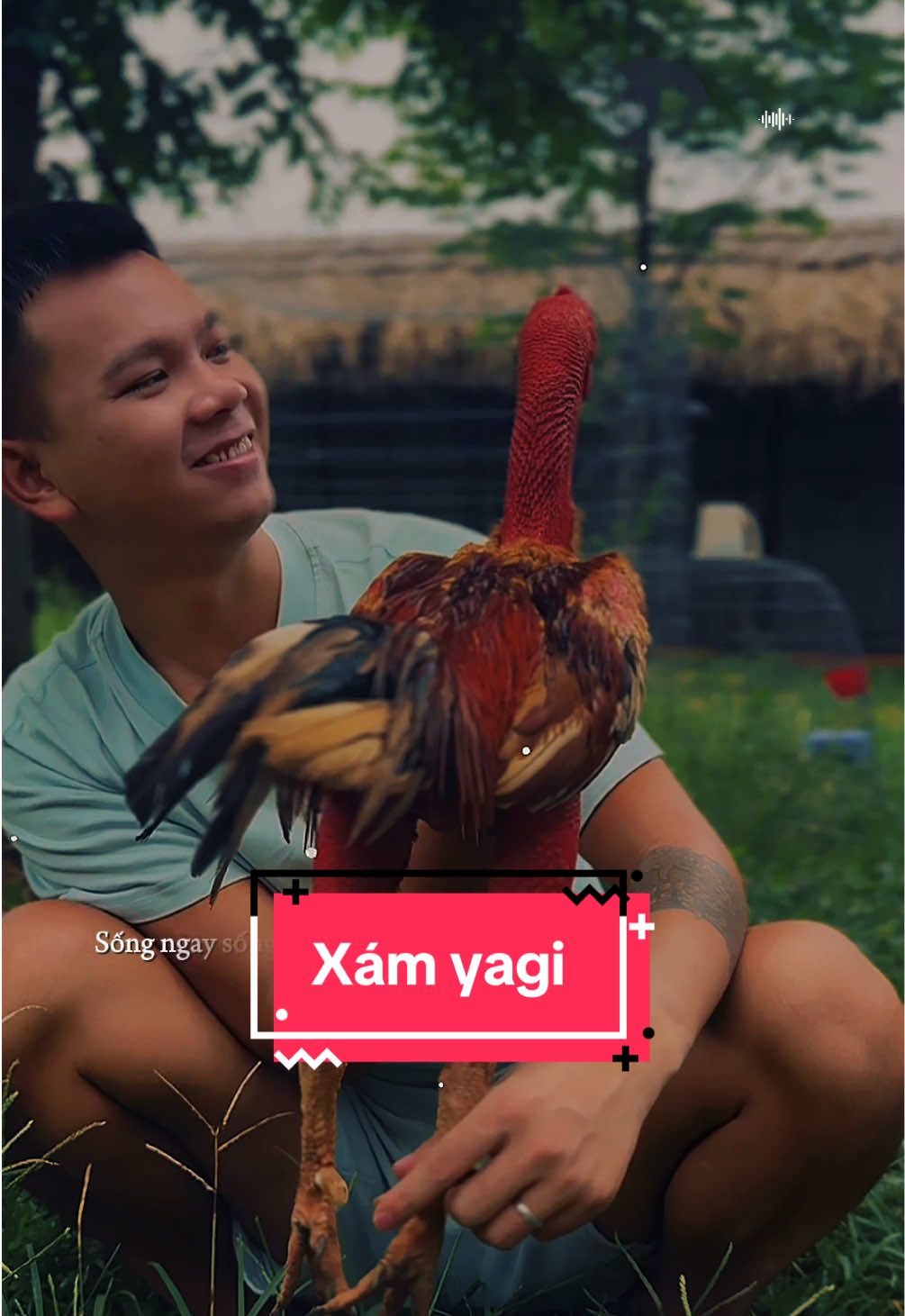 Xám yagi hẹn ae tại thành phố vàng tuần này nhé