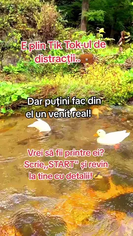 SEO Tik Tok Produse digitale FemeiPuternice #creatorsearchinsights #facelessbusiness #lucramonline #joburiromania #venitpasiv 