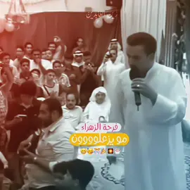 #فرحة_الزهراء #باسم_الكربلائي #fyp #foryou #viral 
