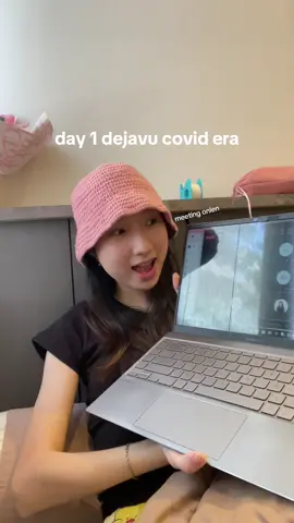 wfh, meeting online, dikasur, blom mandi