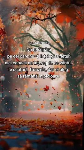 #gandurilemele 