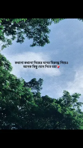 কখনো কখনো নিজের মনের বিরুদ্ধে গিয়েও অনেক কিছু মেনে নিতে হয়!❤️‍🩹 #foryou #banglacaption #sadcaption #emotionalvideo #fyp 