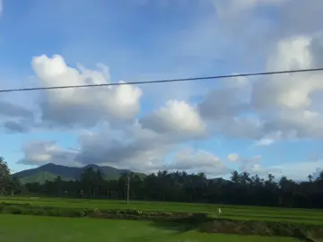 tu long xuyen em di len thanh pho  ao tay dai rach vai  me cha dưa em theo con dương lơn 18 trang tron ..ươc mơ mang theo uoc mơ em bay that xa mgang theo khac khao em bao này qua mang theo tiêng long em thưa me cha em bươc di. đi qua bai sau di qua bo de  di qua bt bao nhiu câu cuoi che đi cho thấy mik mik lơn lên  h day em 30 em dã lớn  sang di tap toi đi sow me cha thuong cho than em ngheo đoi ngay bữa cơm bạc tối em lo  em lo bap benh em ko thanh cong em lo giat mơ em troi thanh sông  em lo kip ng em quay ve o con số o. em ko muôn mai sau khi gia đi đem dem thuc khyua cha lau mơ mi  em cx muon mik lon khon