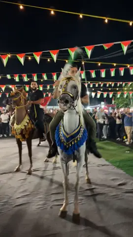 When was the last time you’ve seen 4 horses doing dabcha ? 