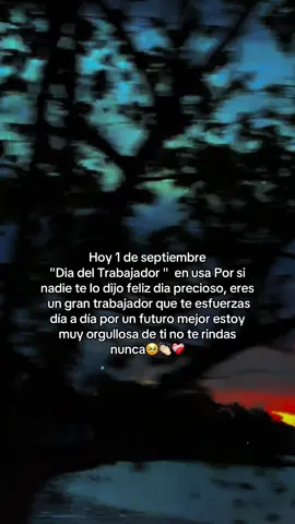 1 de septiembre día del trabajador en usa🇺🇸🥷❤️‍🩹#para#dedicar🫶🏻❤️‍🩹#wilsonneyjr#foryuoo#paratii @TikTok✨