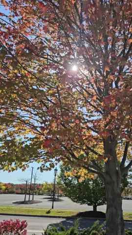 Hello September 