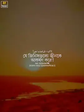 যে জিনিসগুলো জ্বীনকে আকর্ষণ করে! #islamic_diary3 #alaminofficial2 #AF_modon #allah 