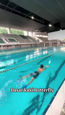 Buat kalian yang mau belajar renang atau latihan fisik bisa lansung DM ya.. . #dori #doseku #dori30 #coach #coachdori #doriprivate #doriprivateclass #private #privatejakarta #privaterenang #swim #swimmingcoach #coaching #latihan #latihanrenang #renangjakarta #privatejakarta #privategbk #aquatic #klubrenang #belajarrenang #butterfly  #terbang #fyl #kupu #kupukupu 