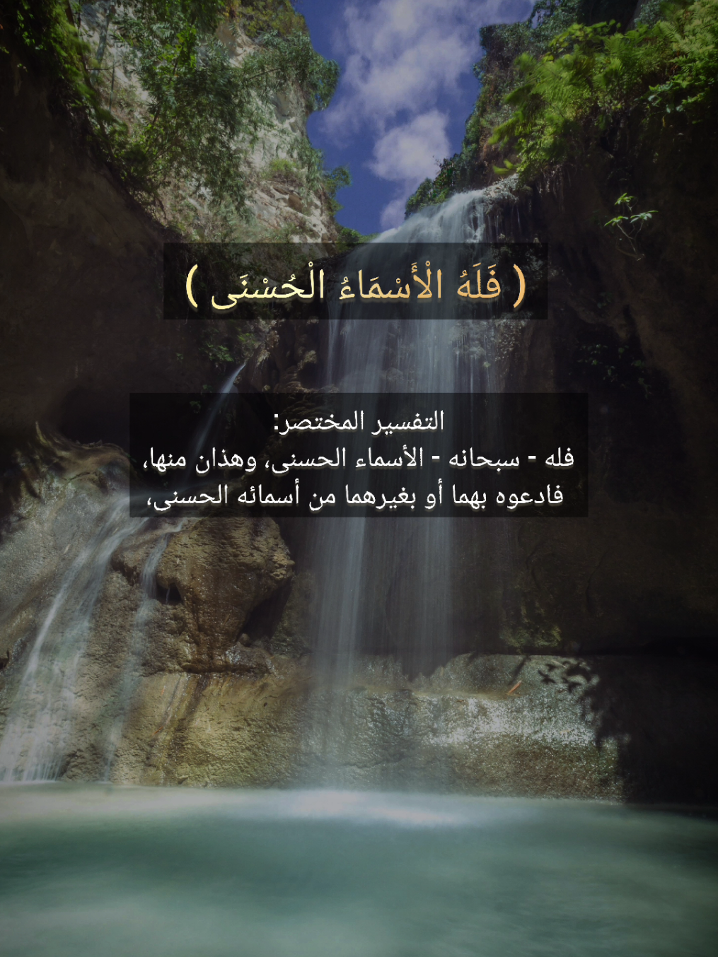 ( فَلَهُ الْأَسْمَاءُ الْحُسْنَى )
