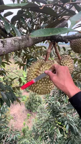Ráng chụp 10 bữa nữa la tay dài luôn e