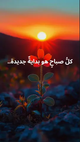 كلُّ صباحٍ هو بدايةٌ جديدة#اقتباسات #اقتباسات📝 #عبرات_جميلة_وقويه😉🖤 #خواطر #صباح_الخير 