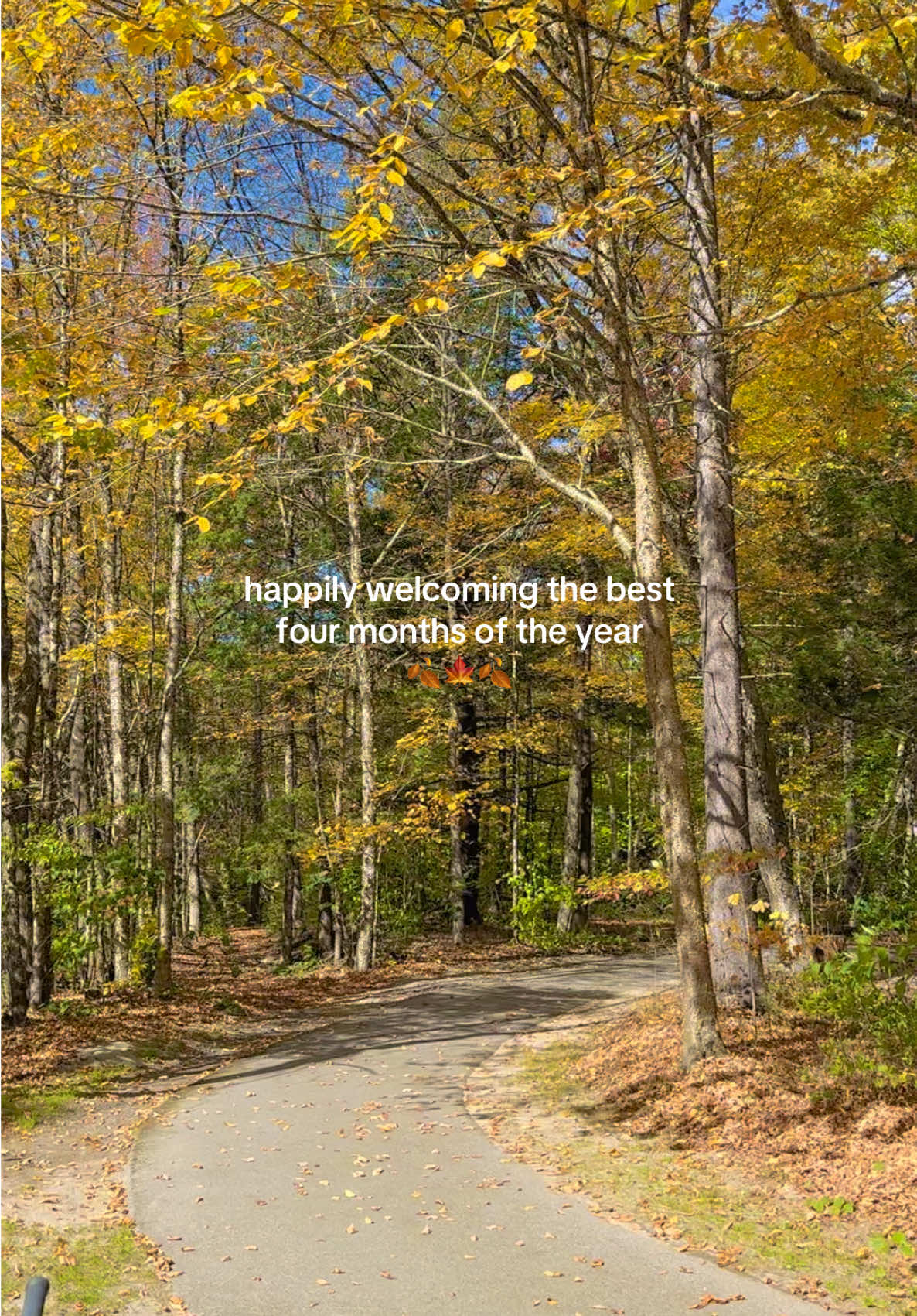 …finally the ber months are upon us!  🍂🍁🍂 #helloseptember #bermonths #fallaesthetic 