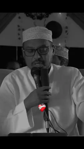 #fyp #somalitiktok #fyppppppppppppppppppppppp #shekhmustafa #fypシ゚ #virallllllllllllll #foryoupage #speedsongs 