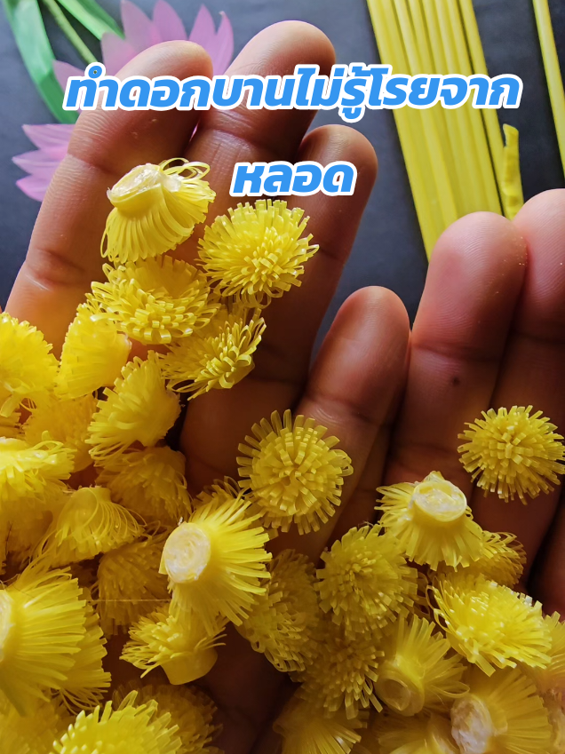 วิธี​ทำดอกบานไม่รู้​โรย​จาก​หลอด #ดอกไม้จากหลอด #ดอกไม้ประดิษฐ์ #DIY #handmade 