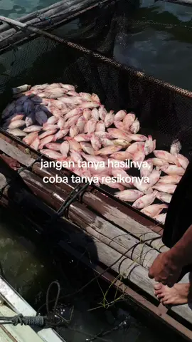 coba sekali
