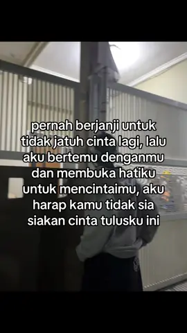 sengwes yowes