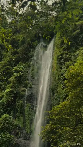 Tenang itu ketika kamu main di alam dan alam menyambutmu dengan baik . #tiktok #curugcibereum #ph #waterfall #sukabumi 