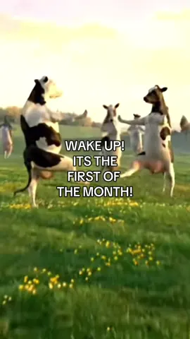 its not summer anymore tho😔 #wakeup #firstofthemonth #cow #viral #fyp #foryou #foryoupage #dancingcow #1stofseptember #september #like #month #makemeviral 
