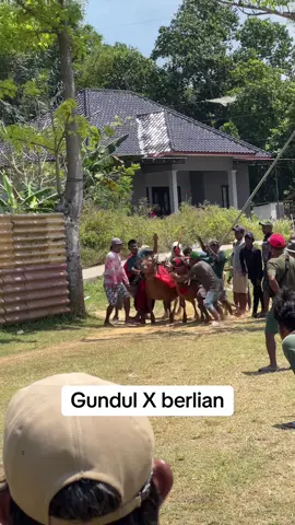 Kolaborasi@Bintang Berlian Official #kerapansapimadura #tradisimadura #beranda #bintangsamurai 