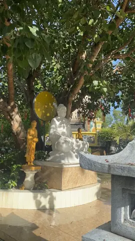 Trong lành buổi sớm, nắng lên, gió thoảng gửi tặng cho chính mình thời sám hối để nhận ra cái bổn phận của chính mình, hiểu để thương lấy cả khổ và vui, có thương mới thấu tỏ được sự ràng buộc của chúng, thấu tỏ để buông, để tiếp tục sống, tiếp tục trôi chảy tùy thuận... Hồi hướng thời sám hối tới vạn pháp #adidaphat 