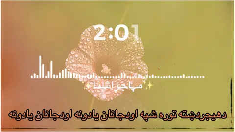 دهیجردښته توره شپه اودجانان یادونه اودجانان یادونه❤️🥀🍁…. . . . . . . . . . #cccreator #catsoftiktok #fuoryou #anfreezemyacount #fuoryoupage #fullvideo 