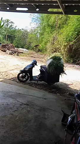 Soro sehat cek reppe beih lah mesen online#kurirpaket 