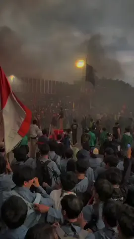 bastard democracy  #ripdemokrasi #democracy #demo #foryou #4u 