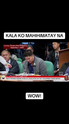 Flood control senate hearing #ghostprojects #floodcontrol #dpwh