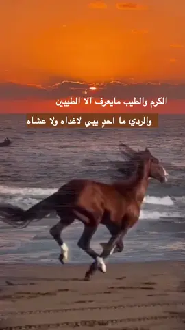 #تصميمي #foryou 