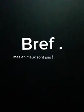 Bref. Mes animaux sont pas juste des outils de travail ! Mais des animaux de familles avant tout 💙  @bref. #bref #entrepreneur #therapie #bienetre #animaux 