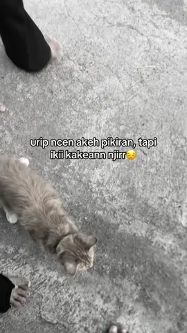 gustii🥹 #xyzbca #4u #story #masukberanda #fypシ゚ 