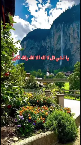 #اللهم_انك_عفو_تحب_العفو_فاعف_عنا #لايك_متابعه_اكسبلور_ #فضلاً_وليس_امراً_💙_🌹 #fyp #tiktok #L 