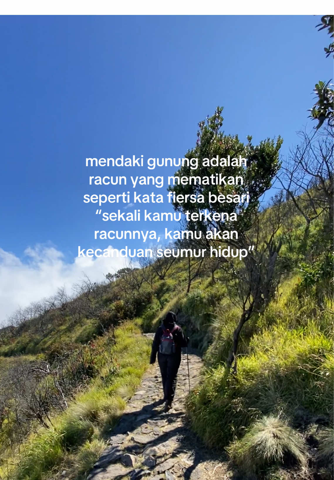 meskipun kaki saya sakit, saya akn mengulanginya lagi #pendakigunung #fyp 