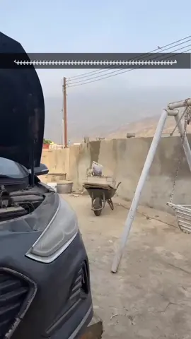 #fyp #قطط #ضحك 