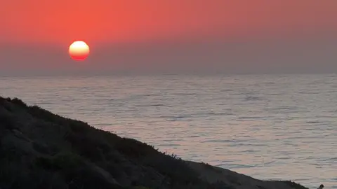 lone surfer