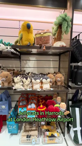 At this point I finally caved and fell in love with one I have seen everywhere but didn’t want … until today. I love airport shopping! It’s the best! #lhr #jellycat #sardines #airport #london 